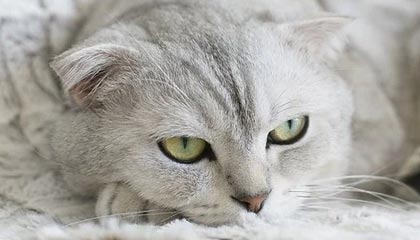 半岛体育：海风与汗水交织的生活方式