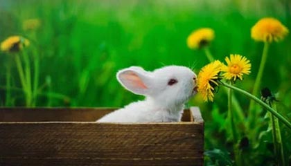 kaiyun的云端之旅：把日常变成可持续的光